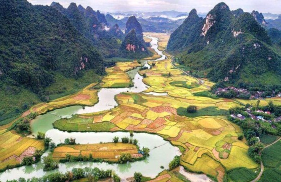 Rice Fields in Bac Son Valley Vietnam